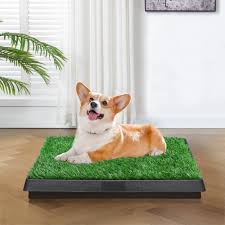 seizeen dog gr pad with tray 25 x