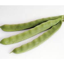 Garden Of Eden Romano Pole Bean Use