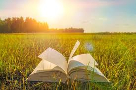 Un Livre Ouvert Sur L'herbe Verte, Un éclat Du Soleil Image stock - Image  du fleur, soirée: 128525427