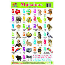 Wall Charts Plastic Non Tearable Alphabets Book
