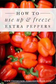 freezing an abundance of peppers