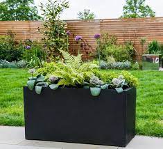 Guide To Creating Garden Troughs