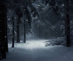 winter snow forest live wallpaper