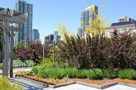 Are Apartment Roof Gardens A Good Idea
