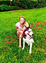 Petland jacksonville is a local pet store that has been operating for over 8 years in jacksonville, florida. Reunited Lostdog 4 12 15 Jacksonville Fl Siberianhusky M Brandi Ledbetter Lost Found Husky Dogs Https Www Facebook Com Phot Losing A Dog Husky Dogs Husky