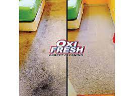 oxi fresh carpet cleaning baltimore in