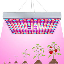 Amazon Com 45w Led Grow Light For Indoor Plants Growing Lamp 225 Leds Uv Ir Red Blue Full Spectrum Plant Lights Bulb Panel For Hydroponics Greenhouse Seedling Veg And Flower By Venoya Home