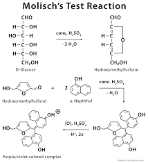 Molisch S Test Definition Reaction