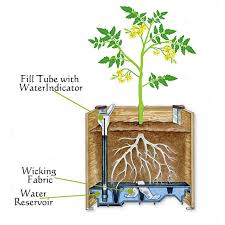 Self Watering Planter Boxes Ecodesign