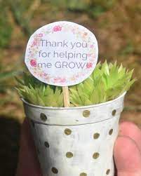succulent plants thank you gift for
