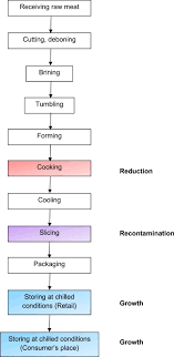 Process Flow Chart Of Cooked Ham Boneless Formed Ham Red
