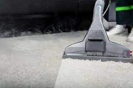 what can professional carpet cleaning