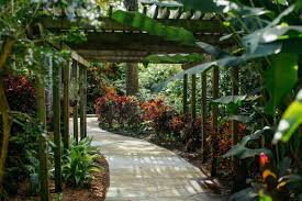 botanical gardens in florida flowers
