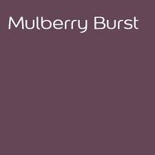 Dulux Mulberry Burst Paint Color