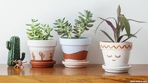 Paint Decorative Plant Pots