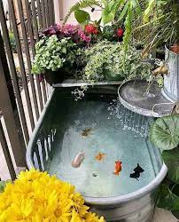 Fish Pond Gardens Goldfish Pond Pond