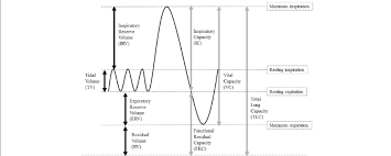 standard lung volumes and capacities