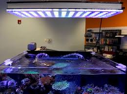 Reef Tank Led Lighting The Best Mounting Height For Your Corals Reef Faqs Bulk Reef Supply
