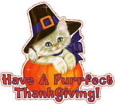 Image result for animated thanksgiving cat