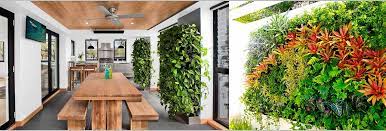 10 Best Indoor Vertical Garden Plants