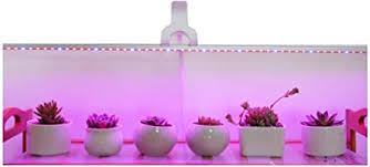 Amazon Com Led Grow Light Ledy 3 2ft 5050 Waterproof Flexible Soft Strip Grow Light For Plant Flower Seeds Seedlings Growing Red Blue 4 1 With Dc 12v 2a Adaptor Garden Outdoor