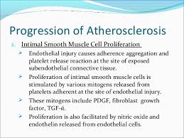 Pathophysiology Of Atherosclerosis