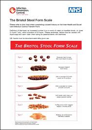 Bristol Stool Form Scale Poster Infection Prevention Control