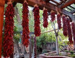 ristras new mexican red chiles