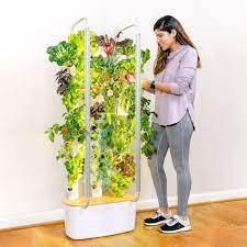 Indoor Garden Indoor Vegetable