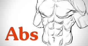 Learn to draw the upper back muscles by understanding the anatomical details and forms. How To Draw Abs Anatomy Proko