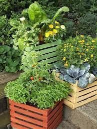19 Vegetable Container Garden Ideas For
