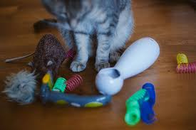 All for paws afp kitty cat kicker cat toy add to wishlist. Black Friday 2017 Cat Related Pet Product Deals