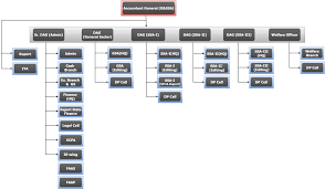 Organization Structure Accountant General Madhya Pradesh