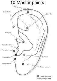 10 Master Points Ear Reflexology Acupuncture Benefits