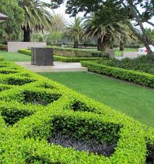 Privacy screens like all hedges can serve several purposes and can add value to many different types of property. Landscaping Fences Are Out Hedges In Nz Herald