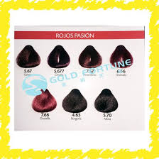 China Wholesale Salon Hair Colour Chart Kit China 2 Or 3