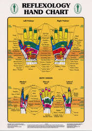 78 Comprehensive Foot Chart For Reflexology Free