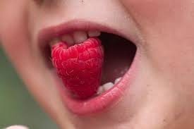 the fruit of your lips steemit