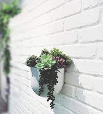 Wall Mounted Planters Floating Wall