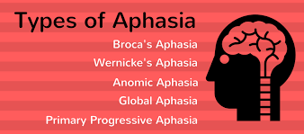 What Are The Different Types Of Aphasia National Aphasia