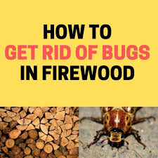 Bugs In Firewood And Woodpiles