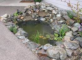 Darcie Heater Garden Pond Design