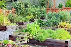 Your Vegetable Garden Can Be Beautiful