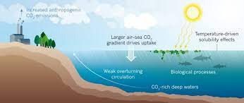 Oceans Absorbed Missing Co2 gambar png