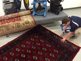 organic rug cleaning 312 975 3223
