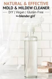 Natural Mold Cleaner The Blender Girl