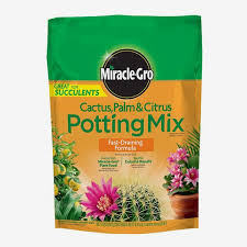 Best Potting Soil For Indoor Plants