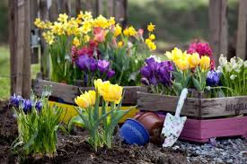 Spring Gardening Tips For Sask Climate