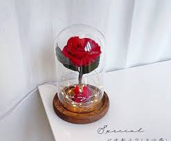 Single Rose Preserved Flower Glass