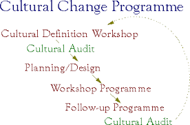 Cultural Change Management Good Practice And Guidelines